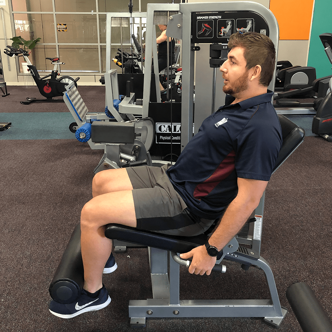 leg-press-down