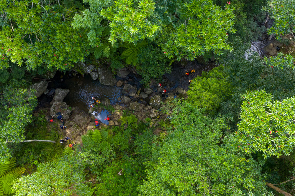 Birdsview of PCYC youth trekking through the canopy