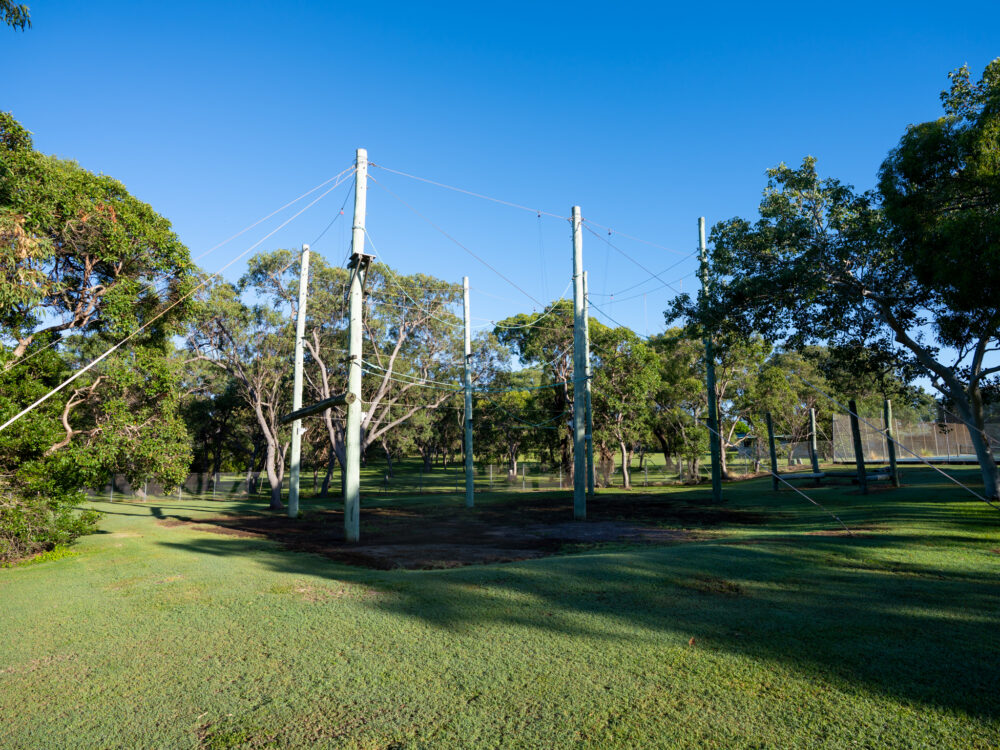 Tree Top Challenge wide shot