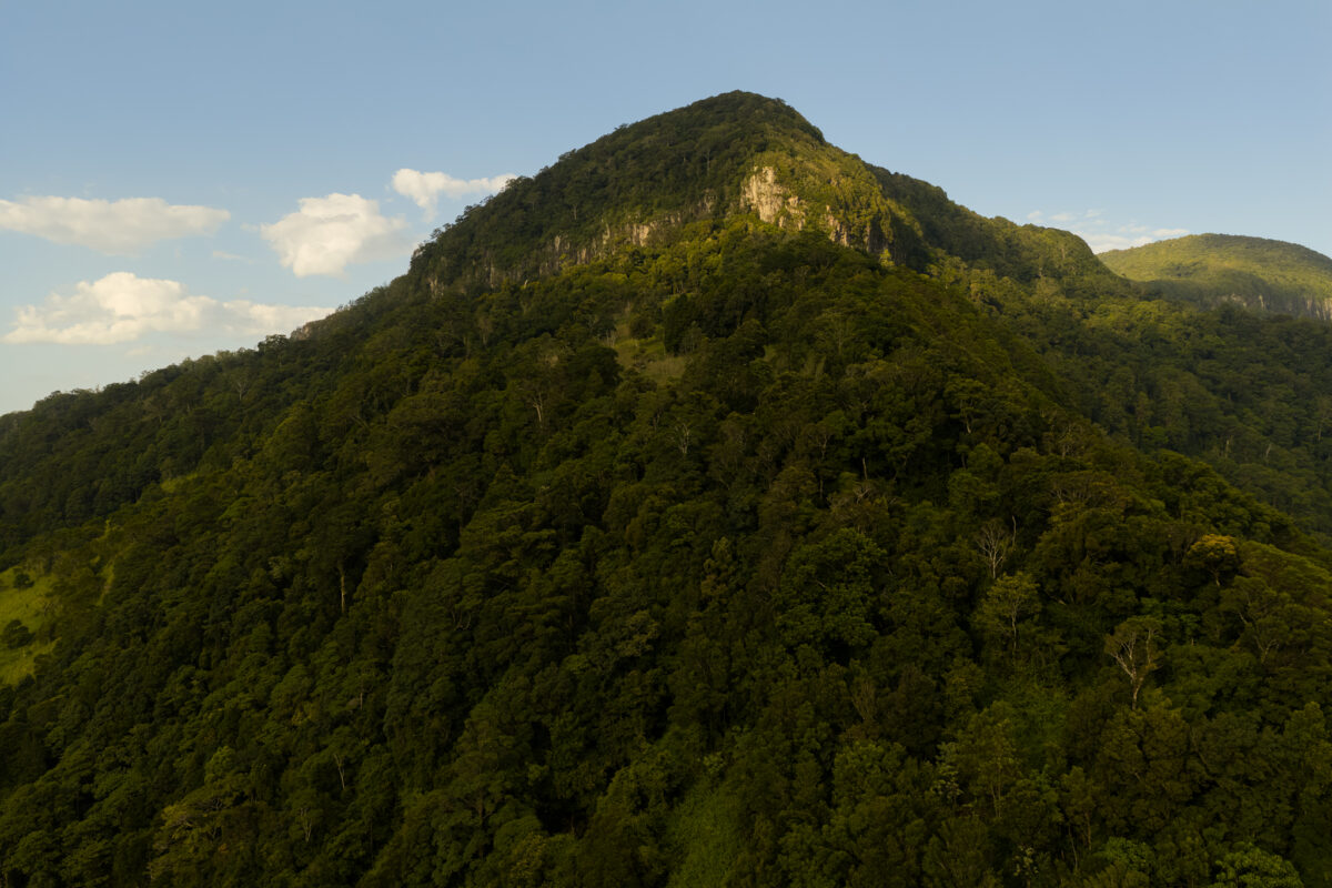 Numinbah Valley mountain view