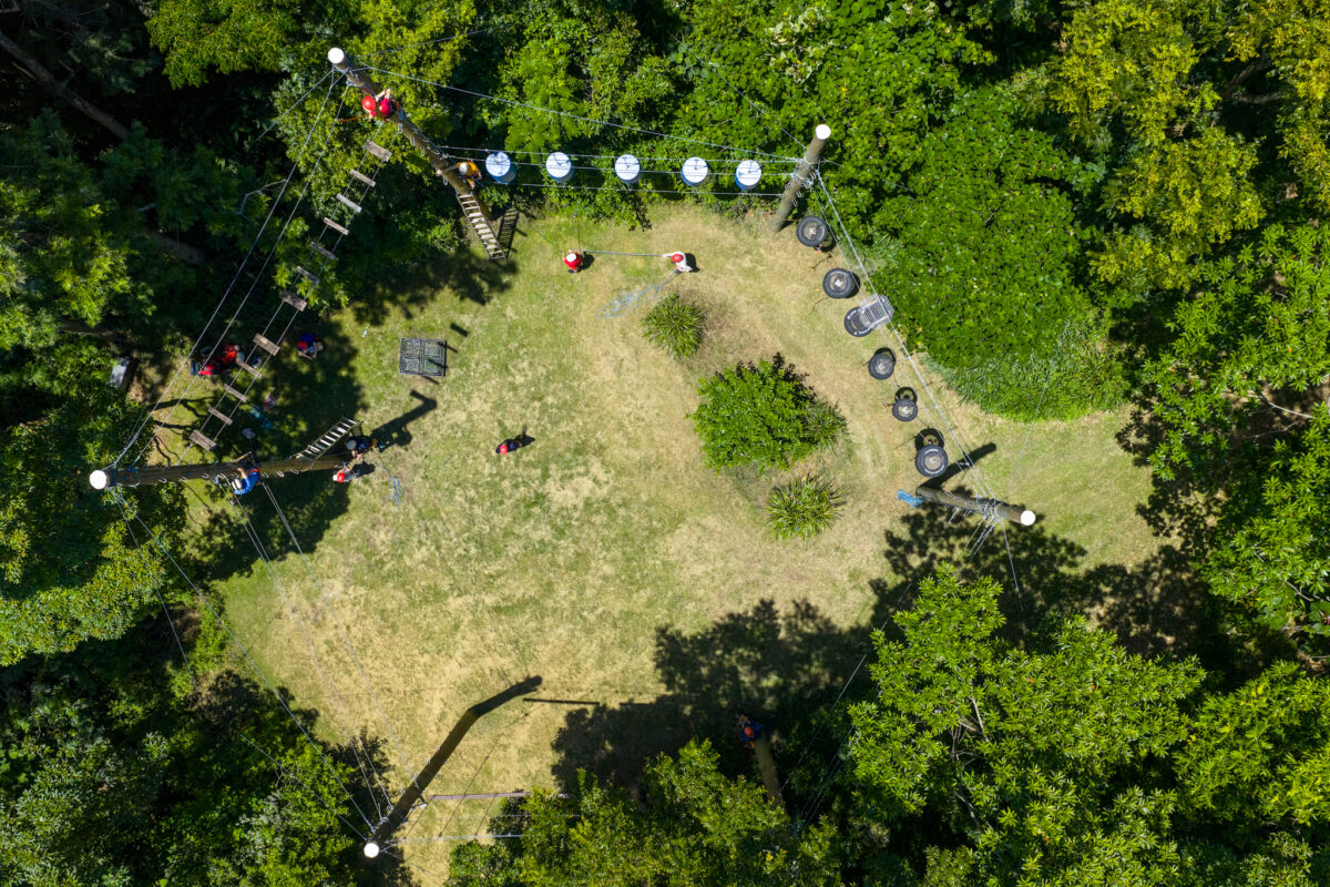 Birdseye view of the treetop adventure