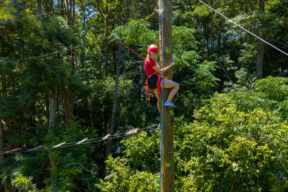 Girl in safety gear climbing the treetop adventure