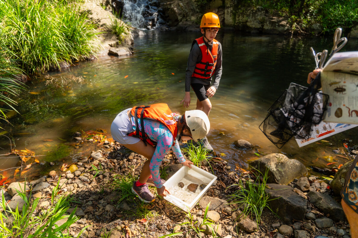 Kids collecting bugs and rocks from the river